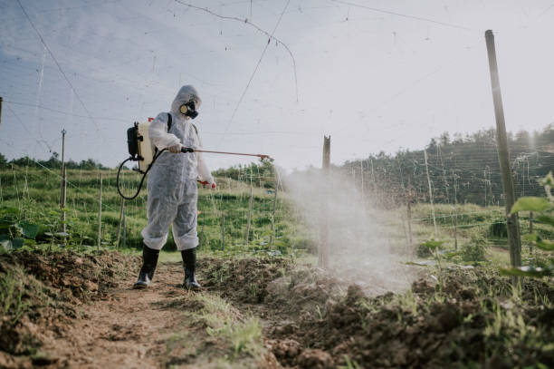 Best Best Pest Control Companies  in Collinsville, CT