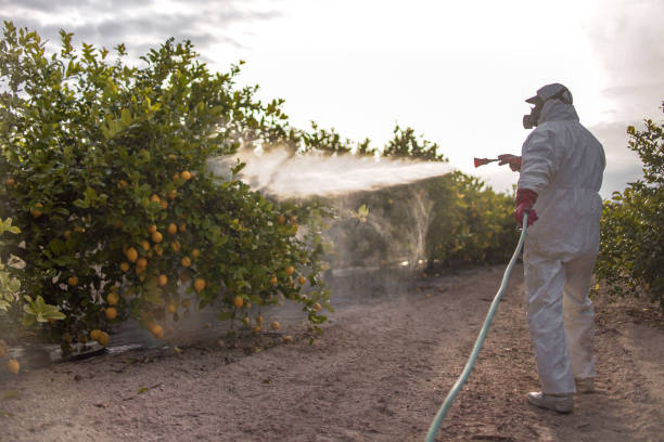 Pest Prevention Services in Collinsville, CT