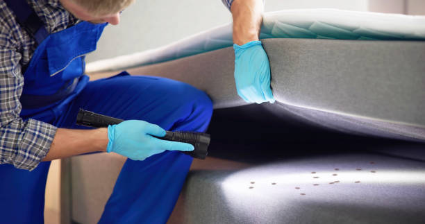 Best Termite Control Services  in Collinsville, CT