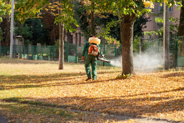 Best Commercial Pest Control Services  in Collinsville, CT